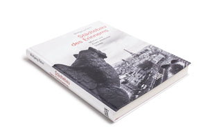 Eine Schrägansicht des Buches Städtebau des Erinnerns von Wolfgang Pehnt, das auf einer weißen Oberfläche liegt. Der weiße Umschlag zeigt den Titel in roter Schrift und ein Schwarz-Weiß-Foto einer Steinskulptur, die von oben auf die Dächer von Paris blickt, mit dem Eiffelturm im Hintergrund.
