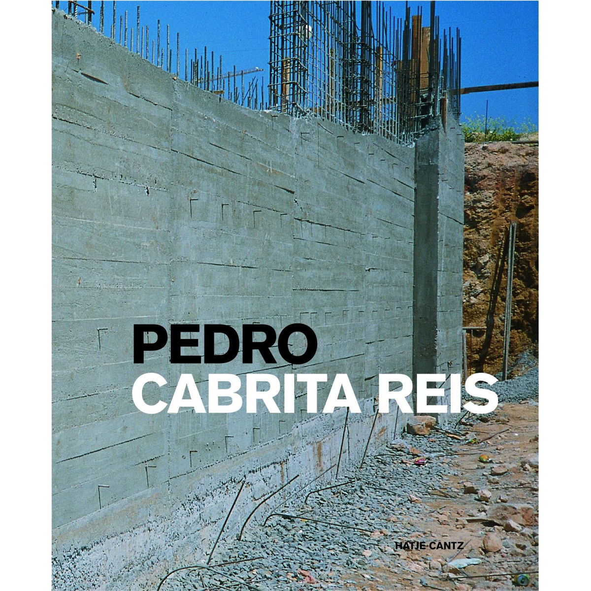 Coverbild Pedro Cabrita Reis