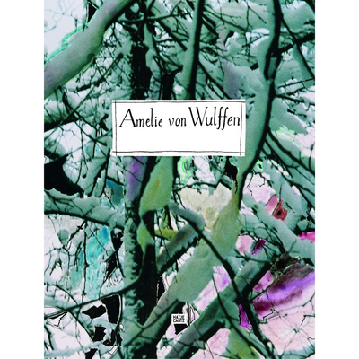 Cover Amelie von Wulffen