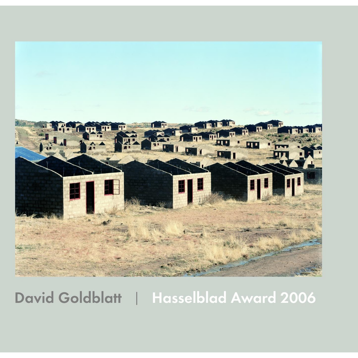 Coverbild David Goldblatt