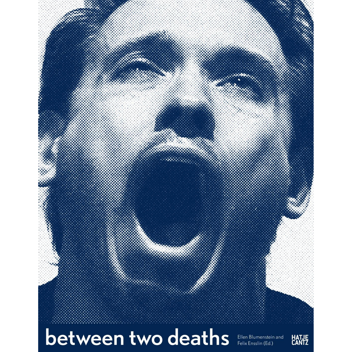 Coverbild Between Two Deaths