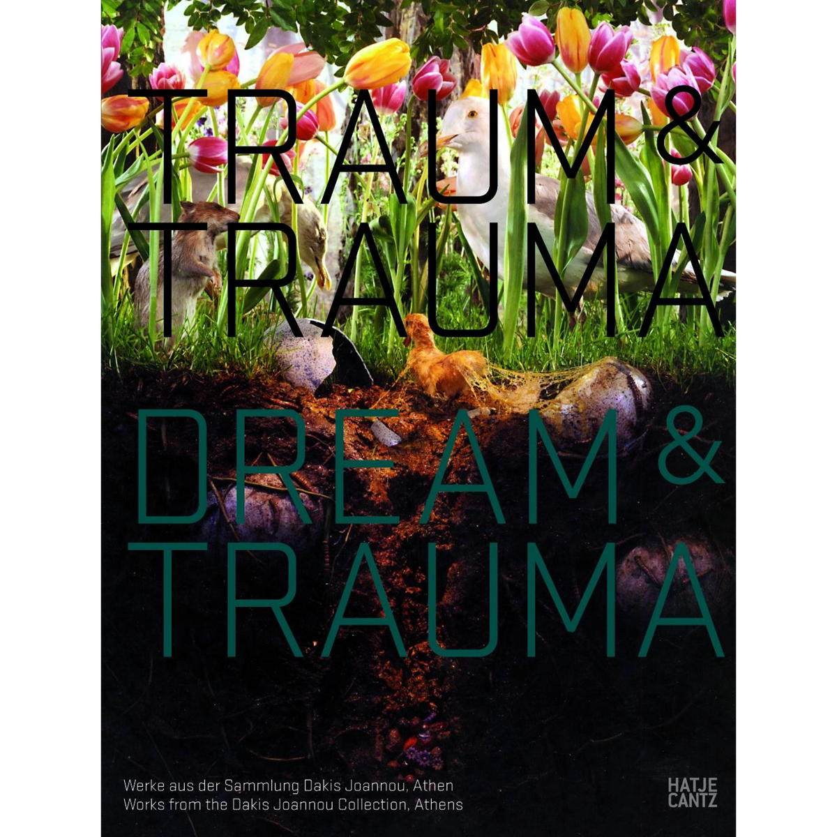 Coverbild Traum & Trauma