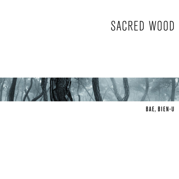 Das Buchcover von Sacred Wood von Bae, Bien-U zeigt ein schmales, monochromes Foto eines nebligen Waldes auf weißem Hintergrund.