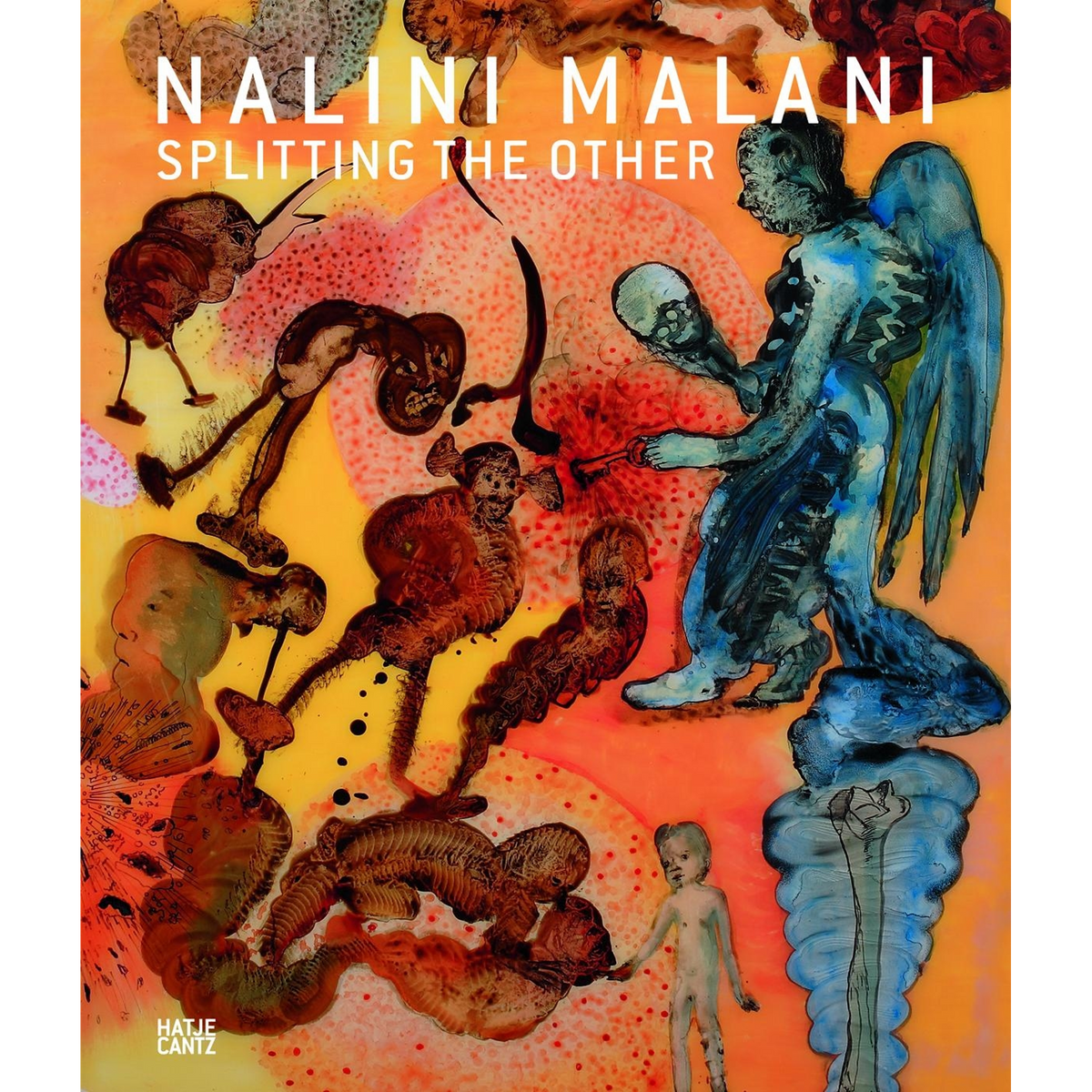 Coverbild Nalini Malani