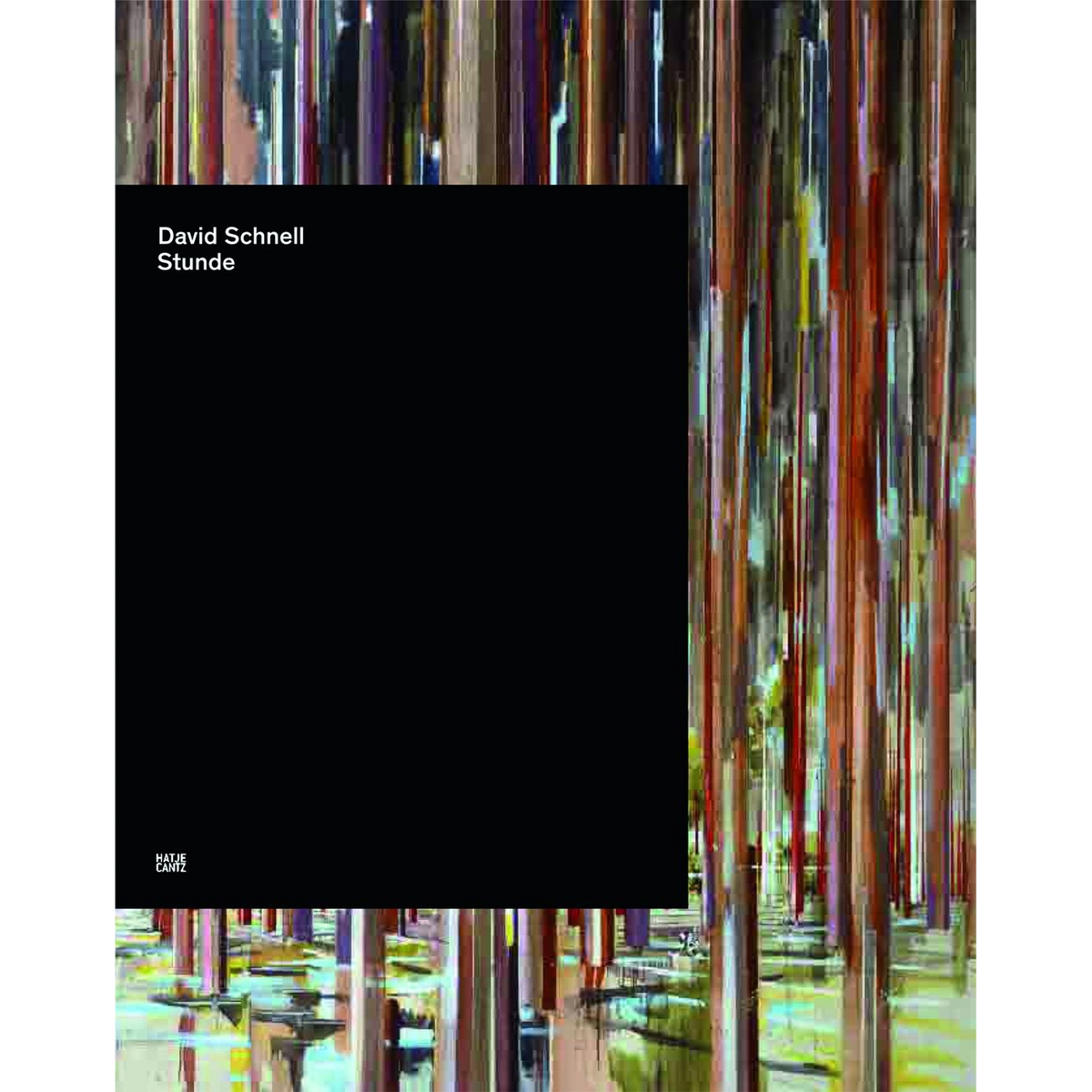 Coverbild David Schnell