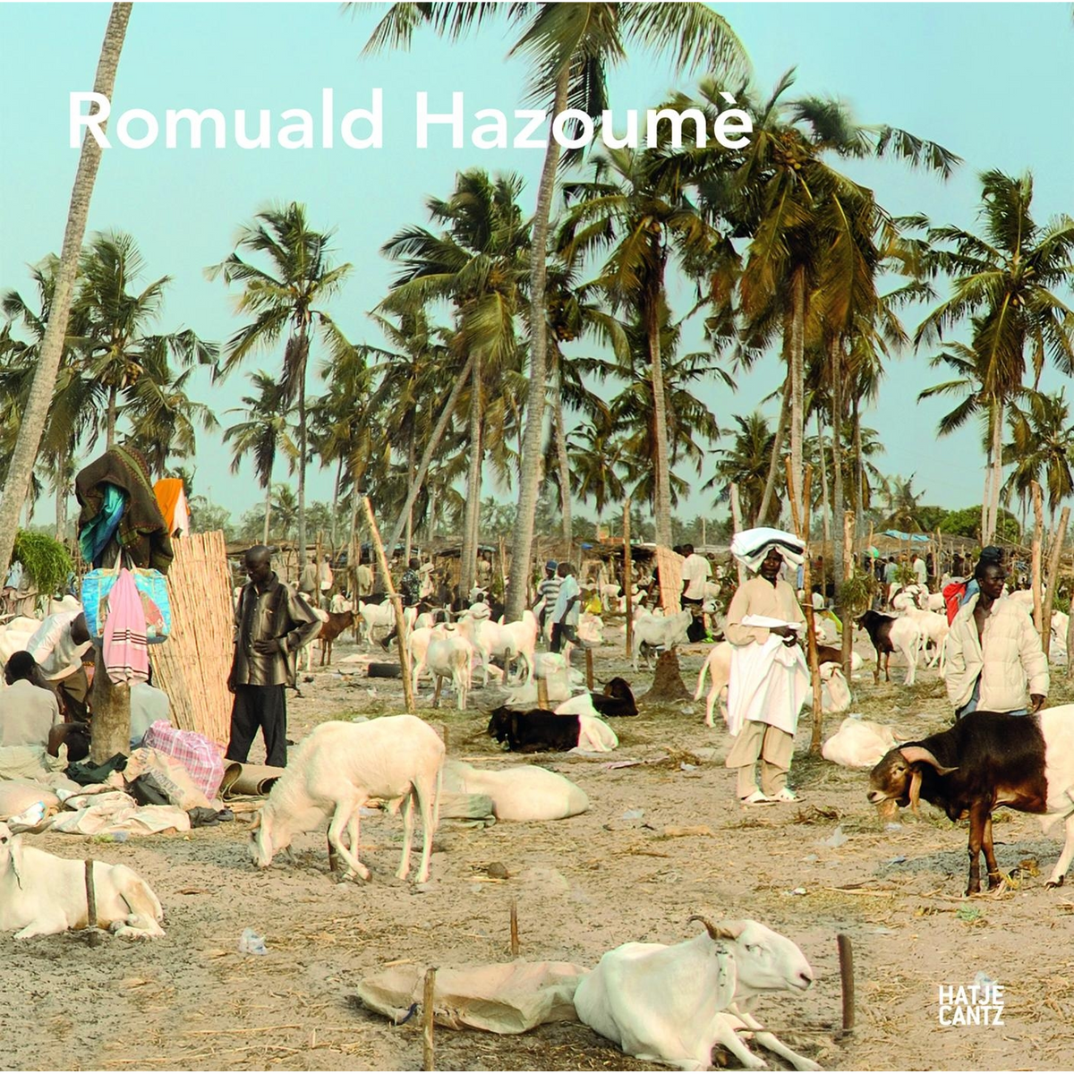 Coverbild Romuald Hazoumè