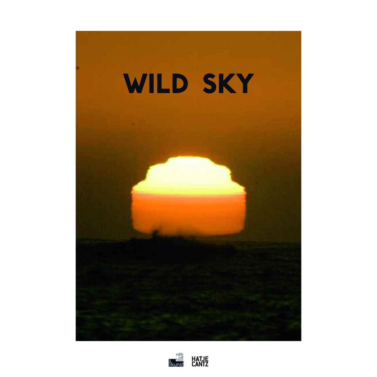 Coverbild Wild Sky