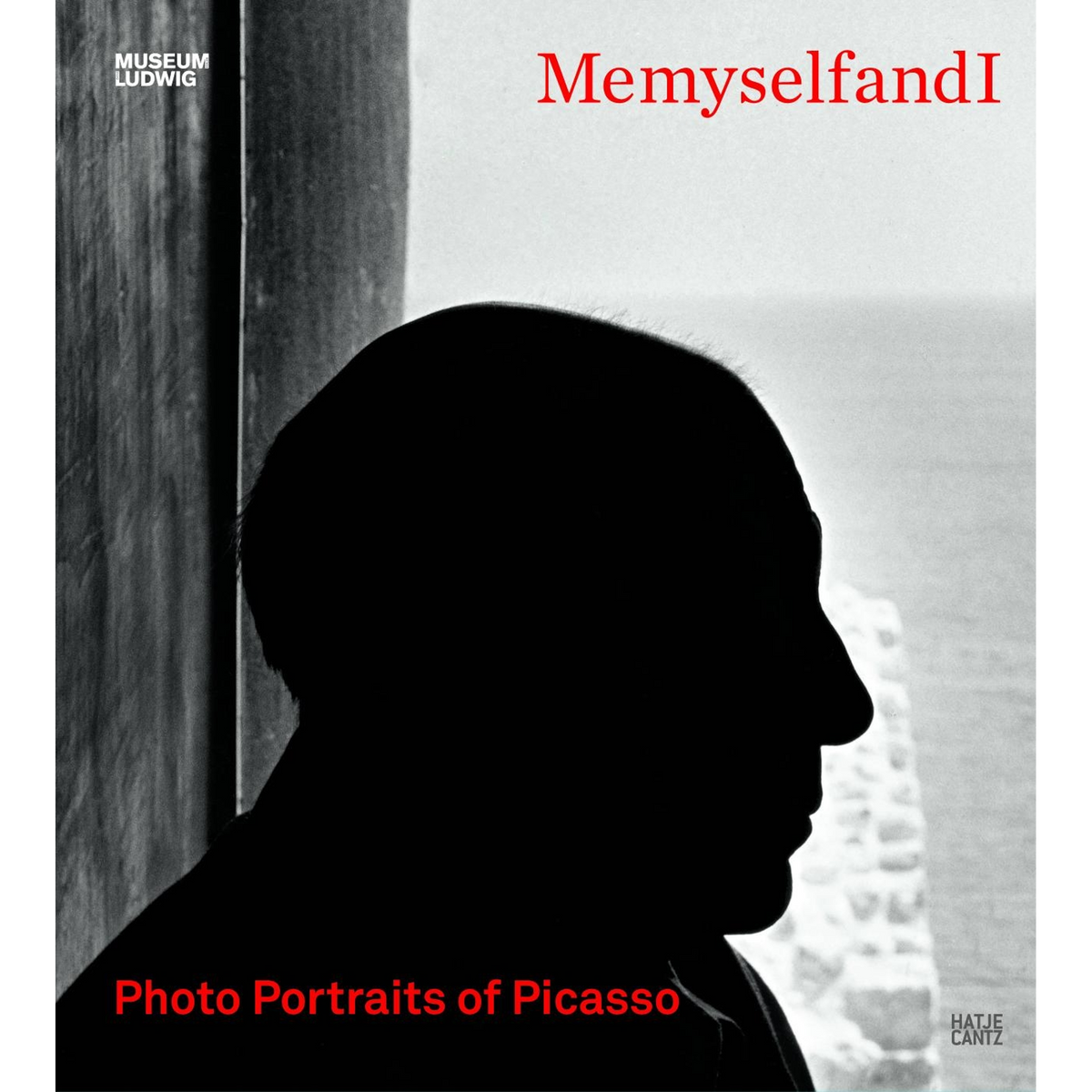 Coverbild MeMyselfAndI