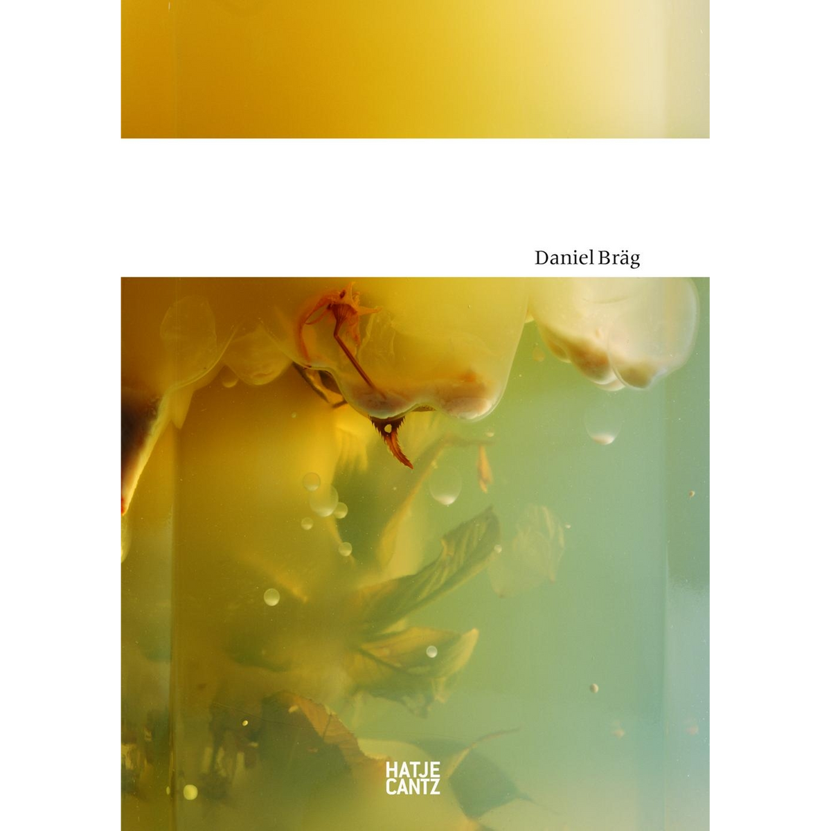Coverbild Daniel Bräg
