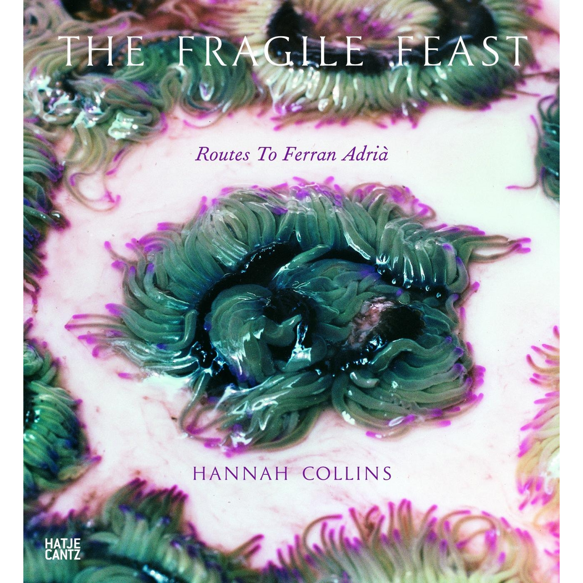 Coverbild Hannah Collins