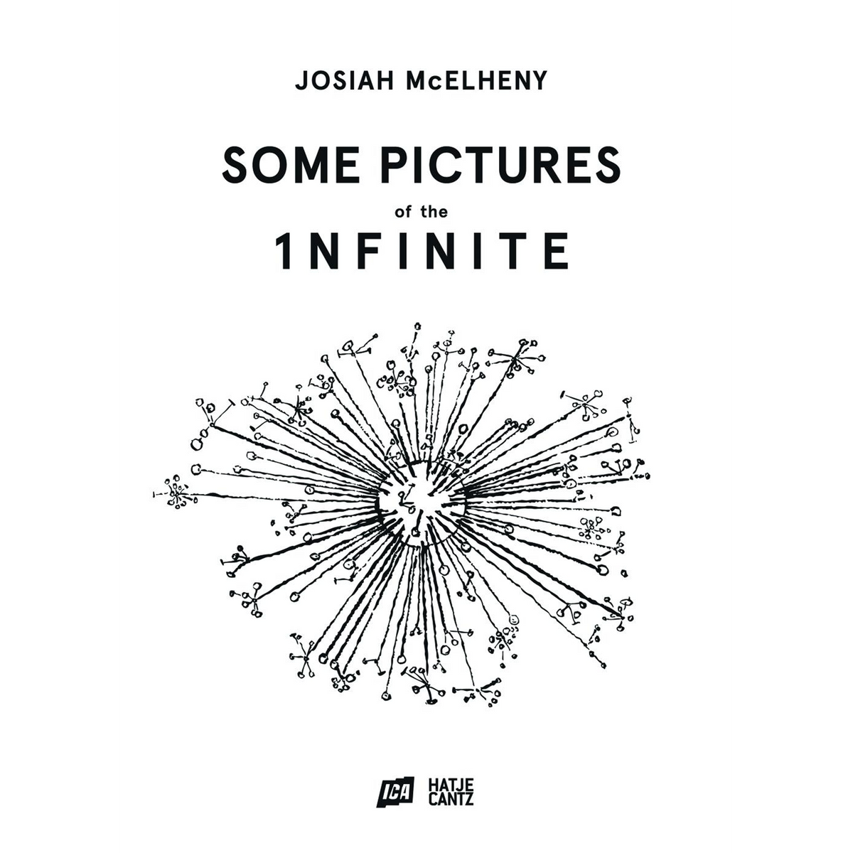 Coverbild Josiah McElhenySome Pictures of the Infinite