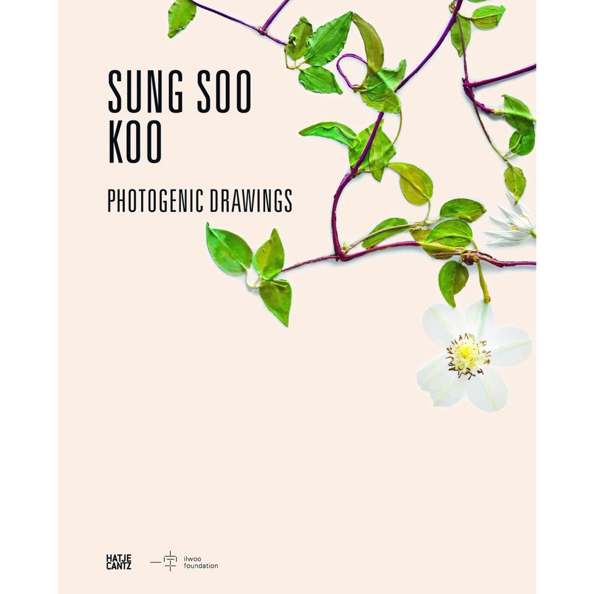 Coverbild Sung Soo Koo