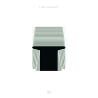 Das weiße Buchcover von Terry Haggerty zeigt eine abstrakte, grün-weiß gestreifte Form, die einen schwarzen rechteckigen Bereich umrahmt.