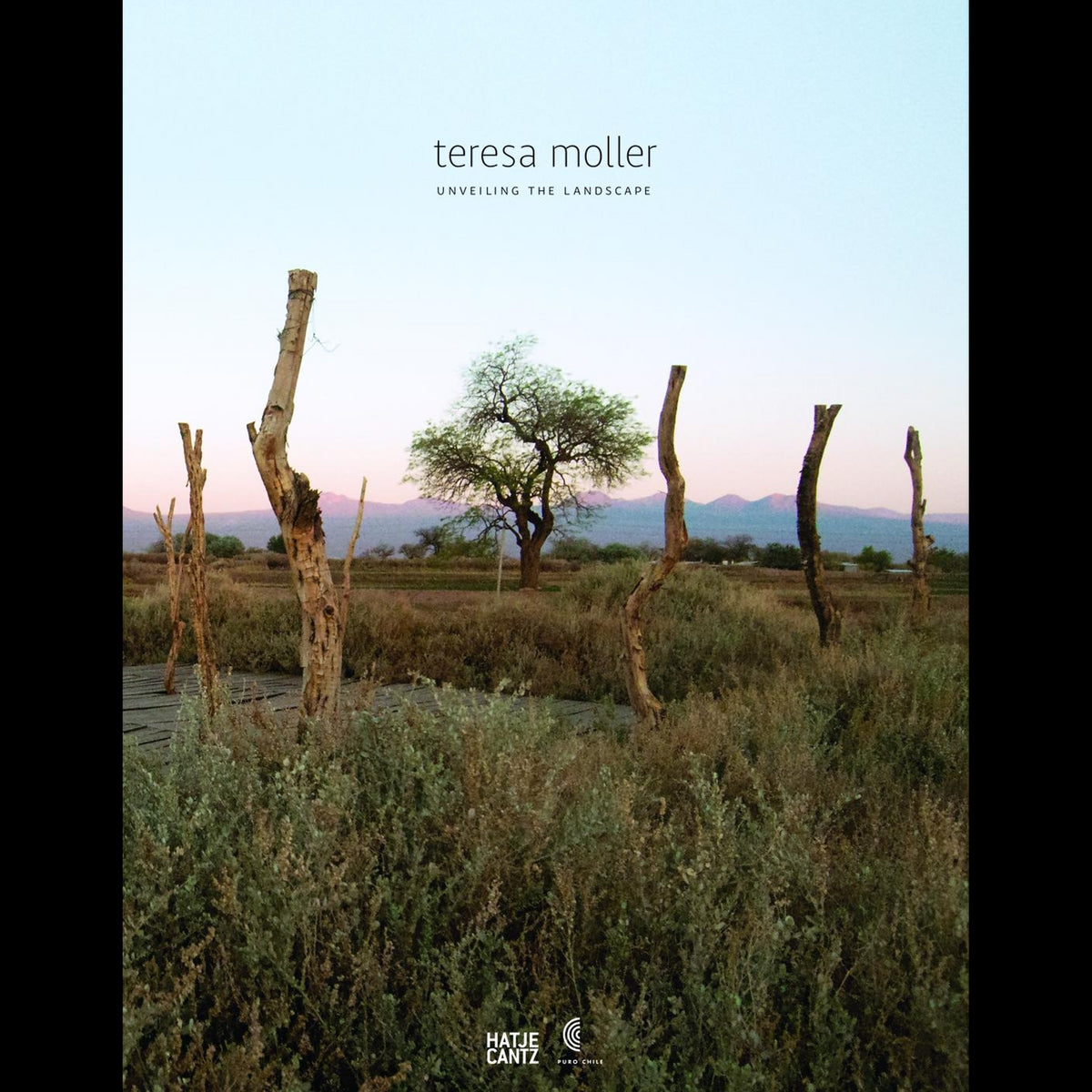 Coverbild Teresa Moller and Associates