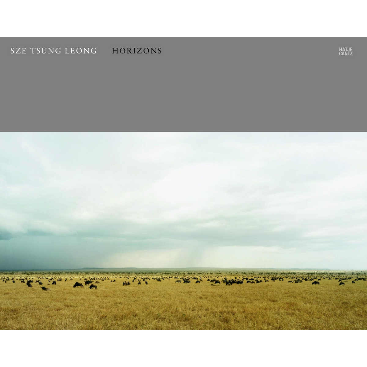 Coverbild Sze Tsung Leong