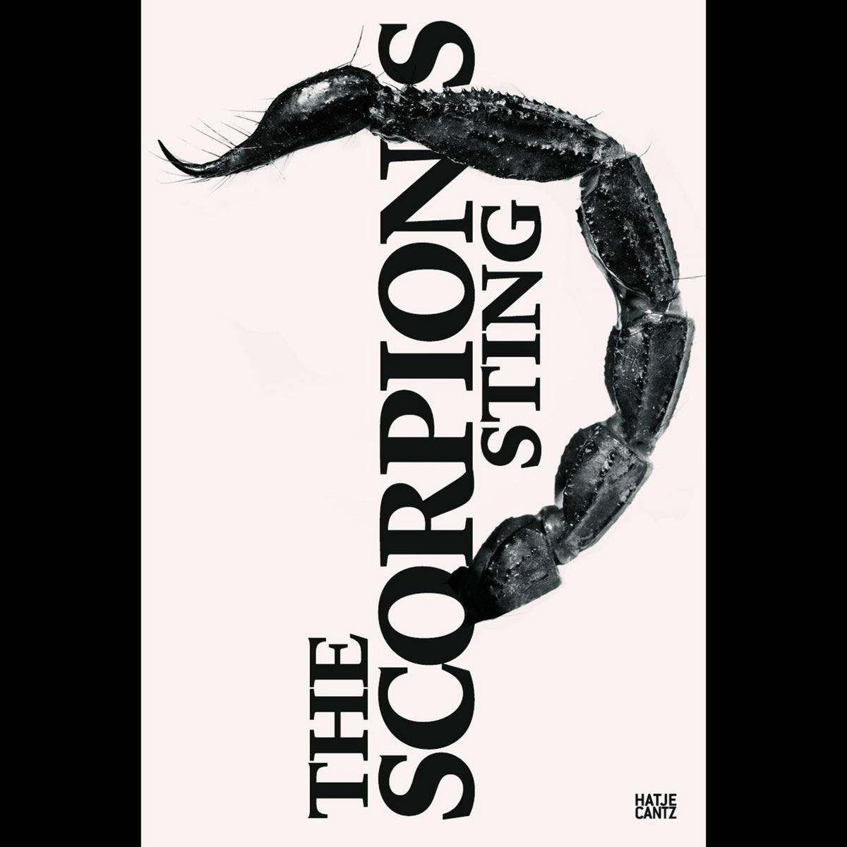 Coverbild The Scorpion