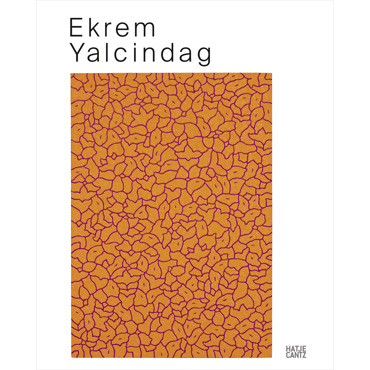 Coverbild Ekrem Yalcindag