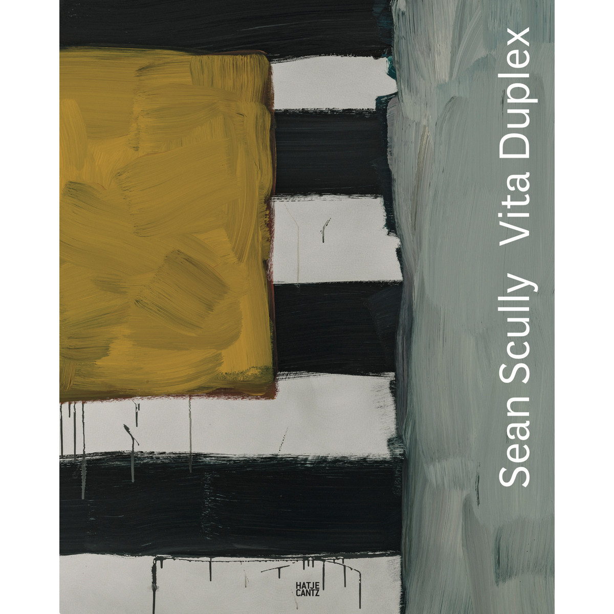 Coverbild Sean Scully