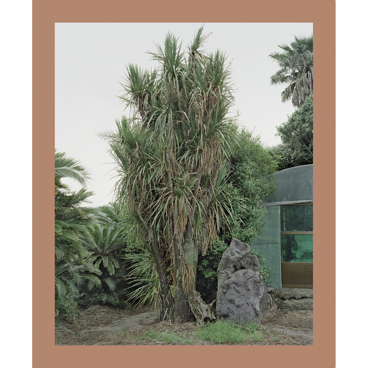 Coverbild Oksun Kim