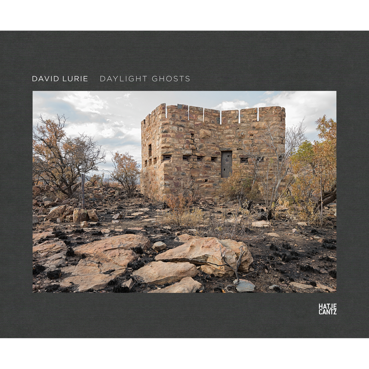 Coverbild David Lurie