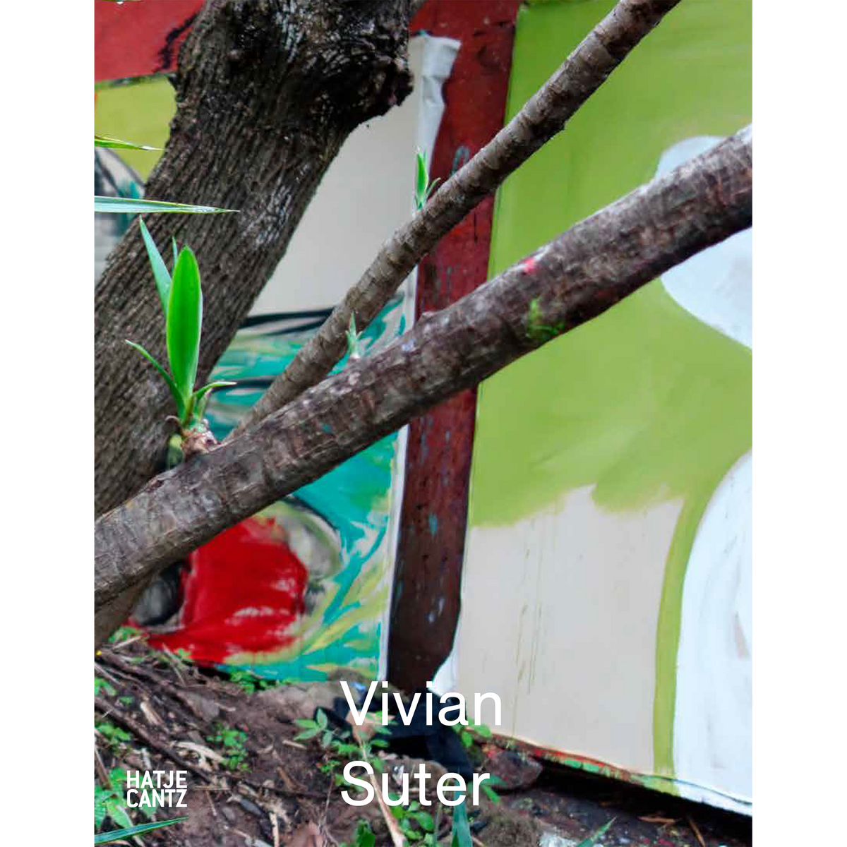 Coverbild Vivian Suter