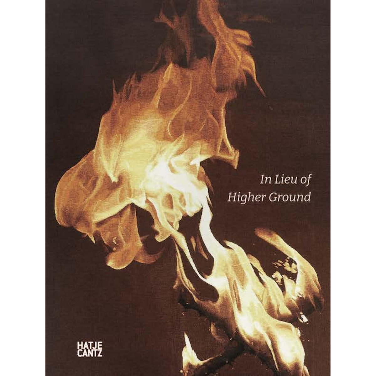 Coverbild In Lieu of Higher Ground