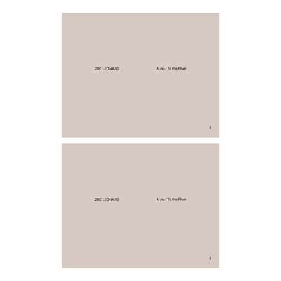 Cover Zoe Leonard
