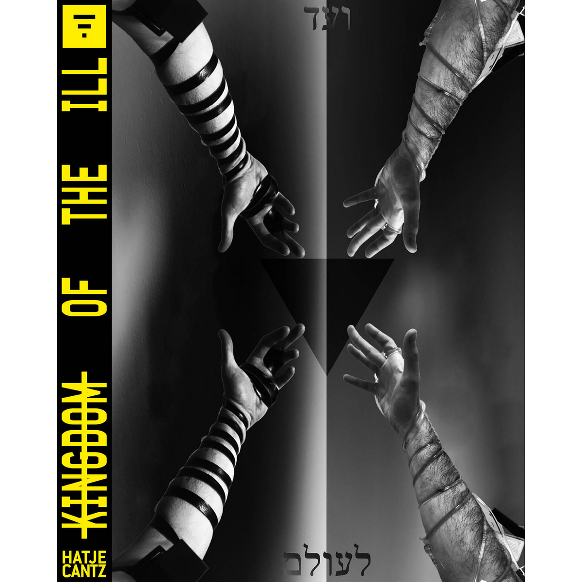 Coverbild Kingdom of the Ill