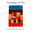 Das Buchcover von Endangered Sky von Sean Scully & Kelly Grovier zeigt ein abstraktes Gemälde aus farbenfrohen, gestapelten Blöcken auf weißem Hintergrund.