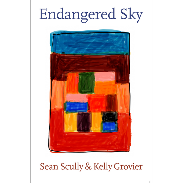 Buchcover von Endangered Sky von Sean Scully & Kelly Grovier, das ein abstraktes Gemälde aus bunten, grob gemalten Farbblöcken zeigt.