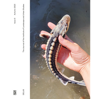 Das Cover des Journals des Instituts für Landschafts- und Stadtforschung zeigt eine Nahaufnahme einer Hand, die einen jungen Stör über dem Wasser hält.