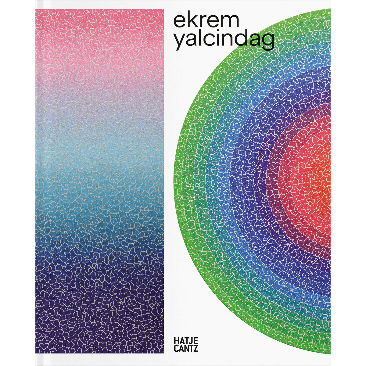 Coverbild Ekrem Yalcindag. Seeing the World Anew