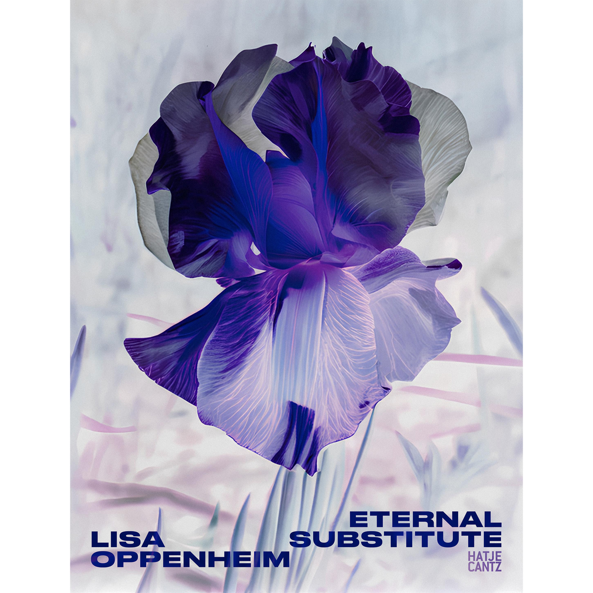 Coverbild Lisa Oppenheim: The Eternal Substitute