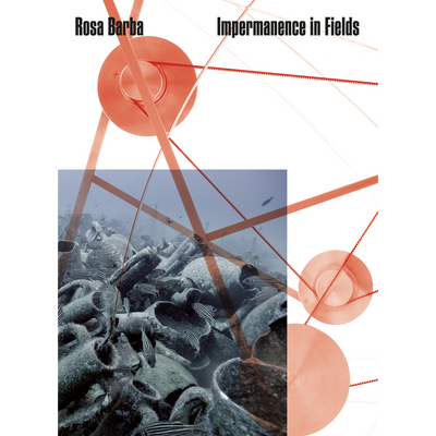 Cover Rosa Barba. Impermanence in Fields