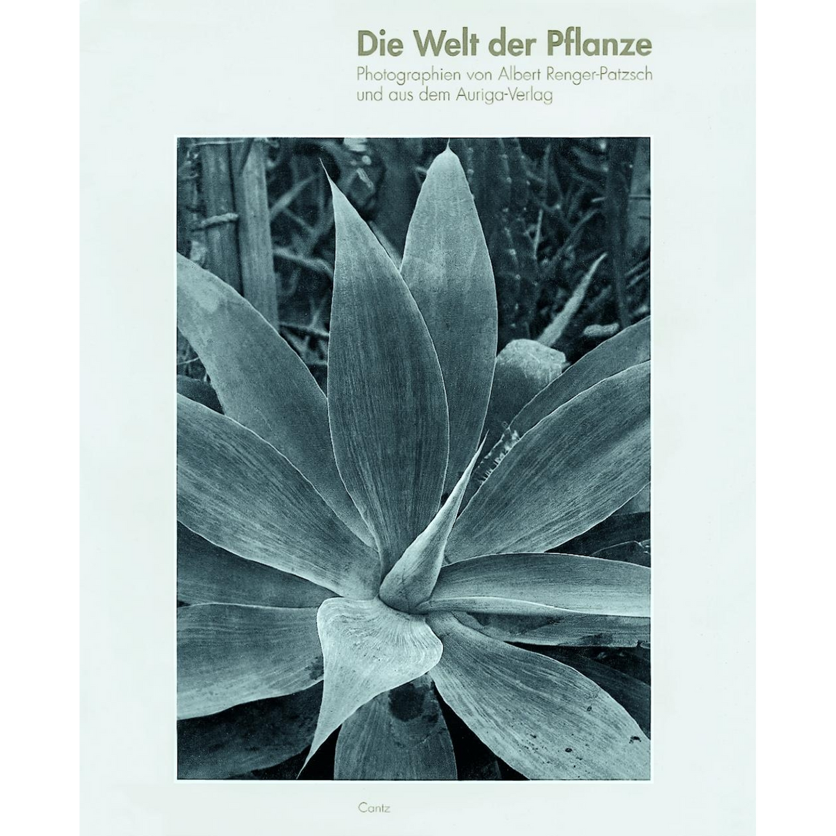 Coverbild Die Welt der Pflanze
