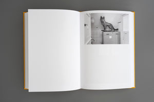 Ein von oben fotografiertes, aufgeschlagenes Buch mit gelbem Einband liegt auf einer grauen Fläche. Die linke Seite ist leer, auf der rechten Seite ist eine Schwarz-Weiß-Fotografie eines ausgestopften Fuchses abgebildet, der auf einem Schrank in einem Badezimmer steht.