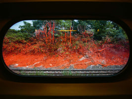 Die Sicht aus einem ovalen Zugfenster auf ein Bahngleis und einen Hang, dessen Boden und Vegetation teilweise mit einer leuchtend roten Substanz bedeckt sind.