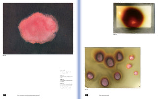 Eine Doppelseite aus einem Buch. Links, auf Seite 118, ist eine große Abbildung einer diffusen, rosa Wolke auf einem dunklen, fast schwarzen Hintergrund. Rechts, auf Seite 119, befinden sich zwei kleinere Fotografien. Die obere zeigt einen dunklen, rötlichen Kreis mit einem leuchtenden Zentrum auf einem hellen, rechteckigen Hintergrund. Die untere zeigt mehrere rosa, kreisförmige Abdrücke mit dunklen Rändern auf einer gelblichen Oberfläche. Die Seiten enthalten deutschen Text und Bildunterschriften.