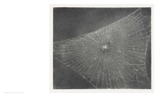 Eine detailreiche, monochrome Kohlezeichnung eines Spinnennetzes. Das Netz erstreckt sich diagonal über einen dunklen Hintergrund, mit einem hell leuchtenden Zentrum und filigranen, strahlenförmig verlaufenden Fäden.