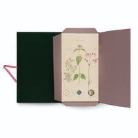 Eine offene, dunkelgrüne Mappe mit malvenfarbenen Innenklappen, die eine botanische Illustration von drei verschiedenen blühenden Pflanzen auf cremefarbenem Papier zeigt, wobei an der linken Seite ein rosa Band hervorsteht.
