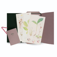 Eine geöffnete Mappe in Dunkelgrün und Mauve, die mehrere botanische Illustrationen von Pflanzen enthält. Davor lehnt ein passendes Notizbuch mit der Aufschrift HILMA af KLINT Flora.