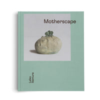 Leiko Ikemura. Motherscape