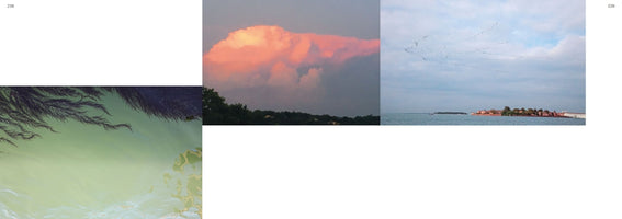 Eine Buchdoppelseite mit einer Collage aus drei Fotografien: Links dunkles, federartiges Seegras in grünlichem Wasser, in der Mitte eine große, rosa leuchtende Wolke bei Sonnenuntergang über einer dunklen Landschaft und rechts ein Vogelschwarm in Formation über dem Meer mit einer fernen Insel.
