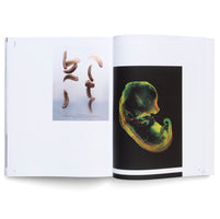 Pierre Huyghe