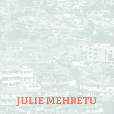 Cover Julie Mehretu
