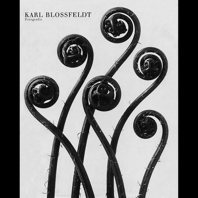 Cover Karl Blossfeldt