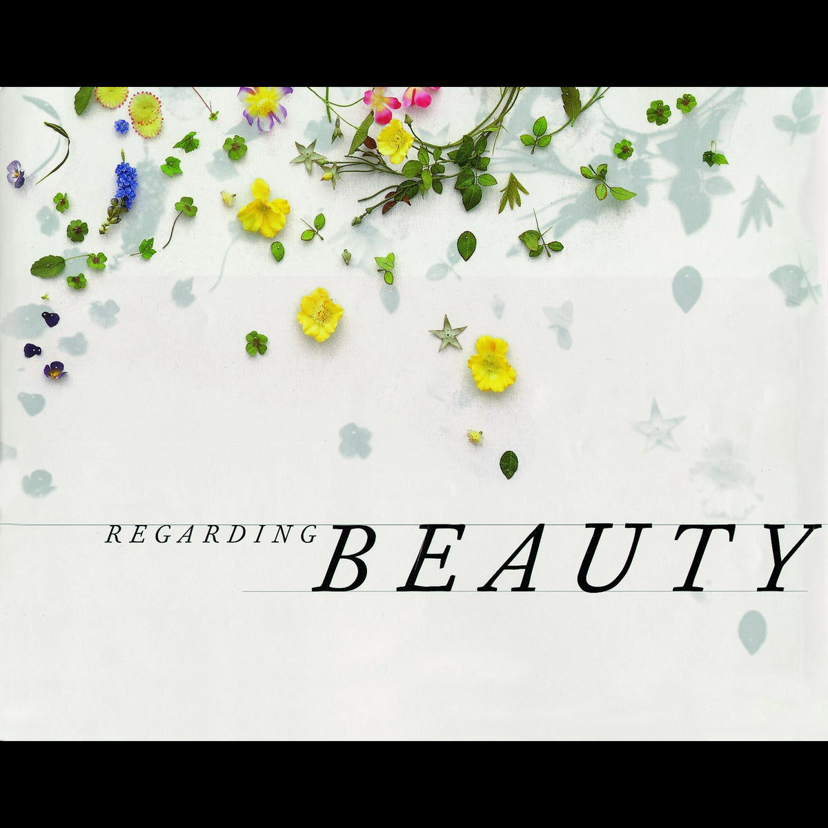 Coverbild Regarding Beauty