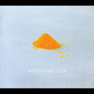 Cover Wolfgang Laib