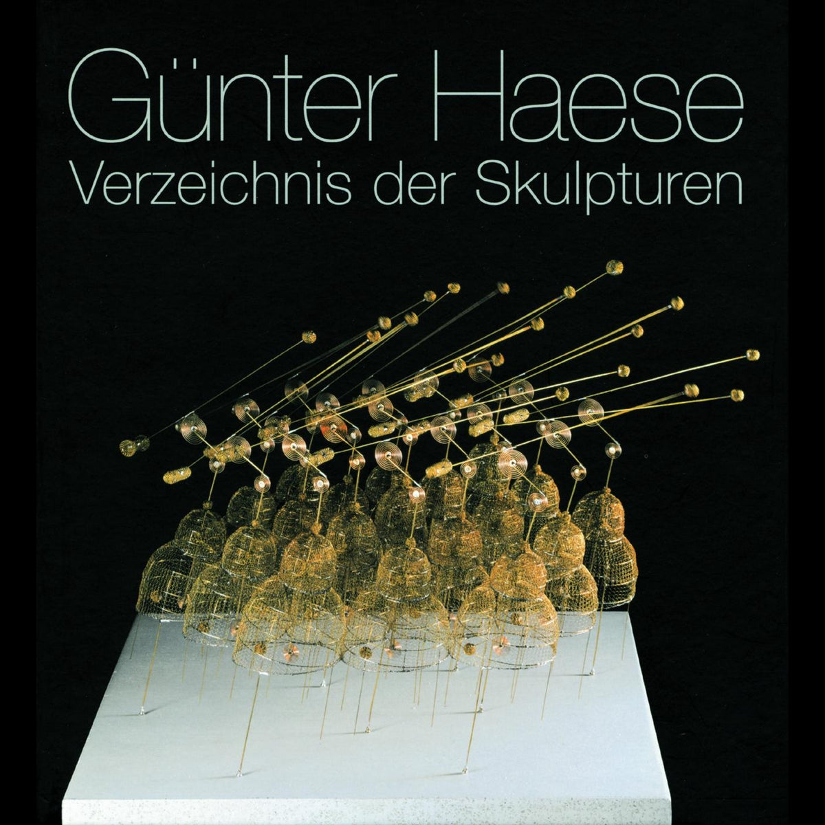 Coverbild Günter Haese