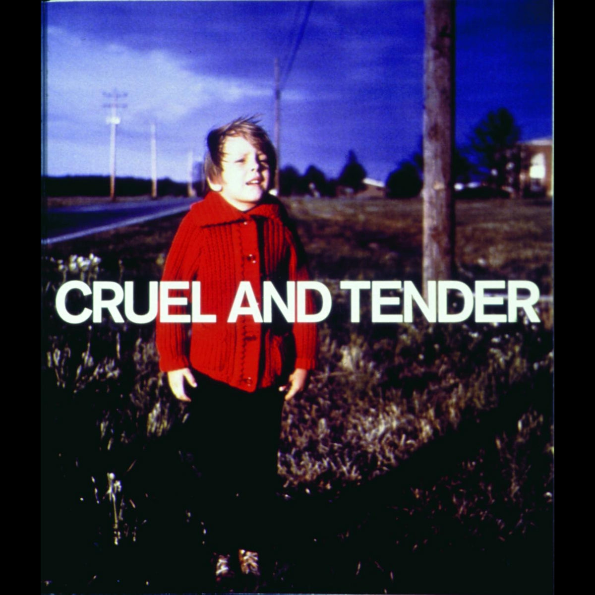 Coverbild Cruel and Tender